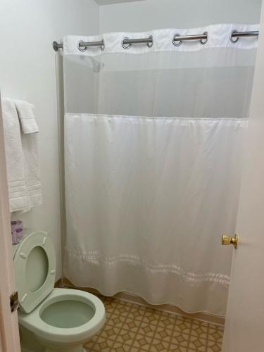 a bathroom with a toilet and a shower curtain at Murphey's Motel LLC in Lee Vining