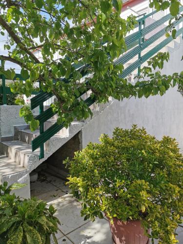 a set of stairs with a potted plant next to it at Apartman Blaslov Kali in Kali