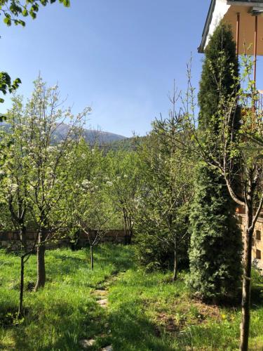 a garden with apple trees and a house at Dil Hill by Sam in Dilijan