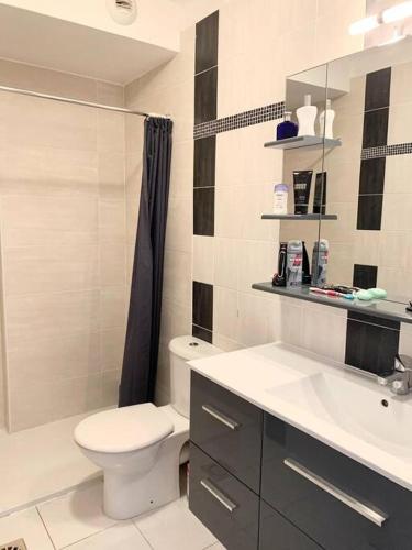une salle de bain blanche avec des toilettes et un lavabo dans l'établissement Charmant studio juan les pins: 30 mètres de la mer, à Juan-les-Pins