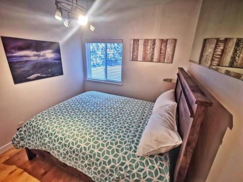 Kitimat的住宿－Teri's Modern Apartment，一间卧室设有一张床和一个窗口