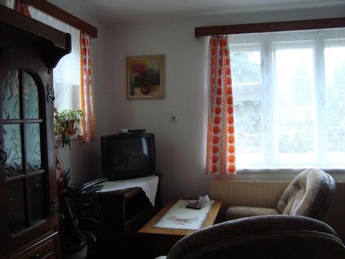 a living room with a couch and a television at Privát Mirovice-Březnice in Mirovice