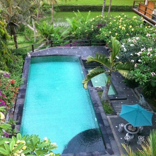 einen Pool mit einer Palme und einem Sonnenschirm in der Unterkunft Toko Toko Bungalows in Ubud