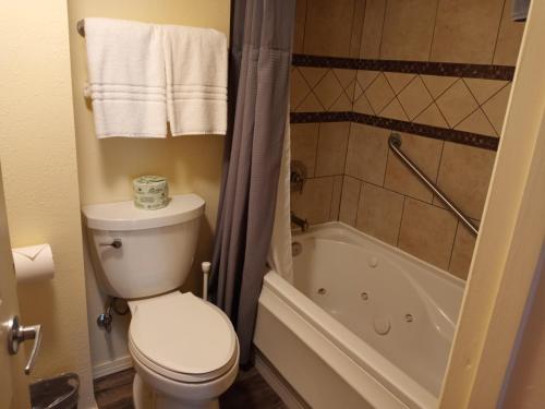 a bathroom with a toilet and a bath tub at Yellowstone Riverside Cottages in Gardiner