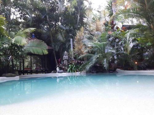 a large swimming pool with palm trees in the background at Alaya Escape in Eudlo