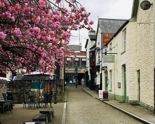 an empty street with pink flowers on a tree at The Art Attic a Stylish Boutique Apartment in Builth Wells