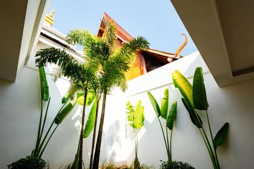 a group of palm trees against a white wall at Mekong River Jing Land Hotel in Jinghong