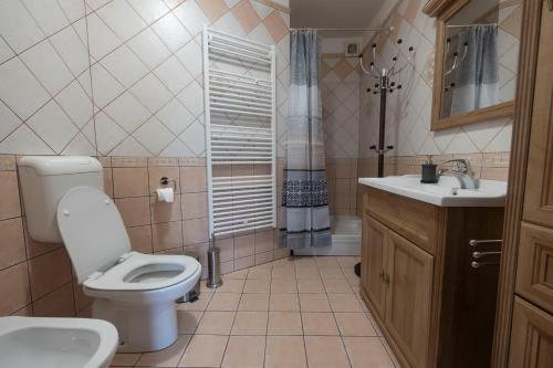 a bathroom with a toilet and a sink at Apartment Gaja in Tolmin