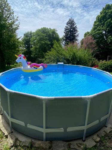 - une grande piscine avec un cheval jouet dans l'établissement Maison de Montgibaud, à Montgibaud