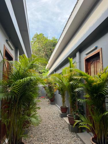 a courtyard of a building with potted plants at Angkor Piseth Homestay in Siem Reap