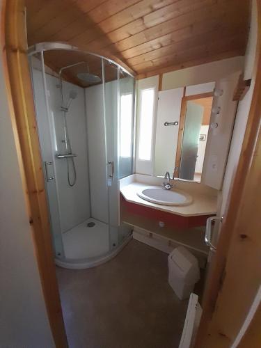 une salle de bain avec douche et lavabo dans l'établissement Gites du Quié, aux Cabannes