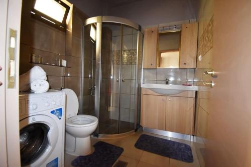 a bathroom with a toilet and a sink and a washing machine at MOSHOVIA STUDIO Κάρπαθος στο κέντρο και ήσυχα in Karpathos
