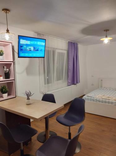 a room with a table and chairs and a bed at GARSONIERA DANIA&PETRU 1 in Tîrgu Ocna