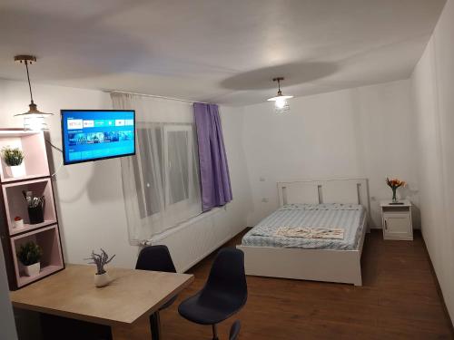 a small room with a bed and a table and a tv at GARSONIERA DANIA&PETRU 1 in Tîrgu Ocna