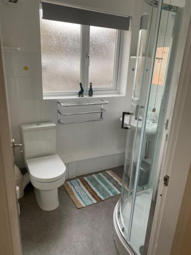 a bathroom with a toilet and a glass shower at Spacious first floor apartment in the centre of Church Stretton with free parking in Church Stretton