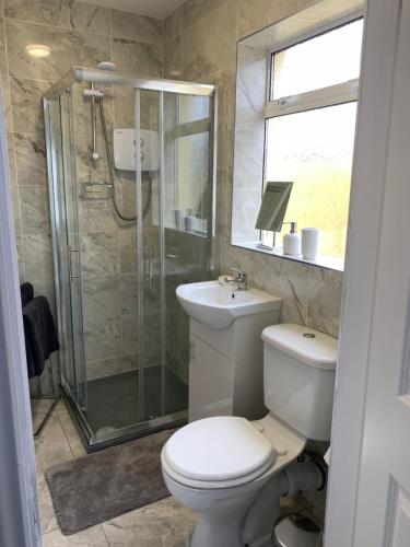 a bathroom with a shower and a toilet and a sink at Stonehaven in Kilkenny
