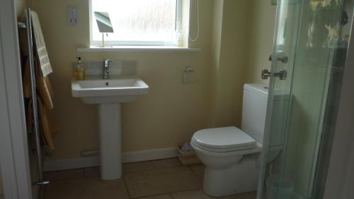 a bathroom with a sink and a toilet and a window at The Little Annexe in Stamford