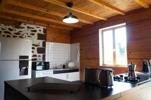 a kitchen with wooden walls and a counter top at la Bouinotte du Berry in Villegenon