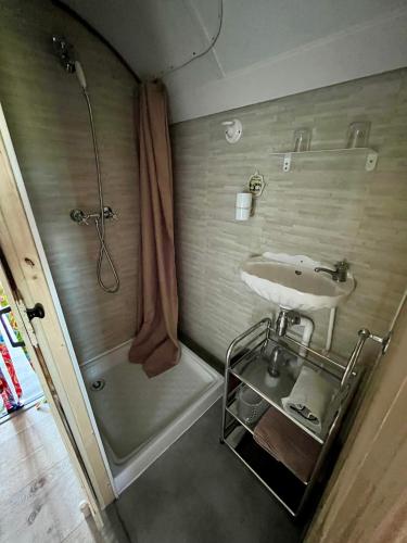 une petite salle de bain avec un lavabo et une douche dans l'établissement Roulotte en Camargue-Hébergement insolite 