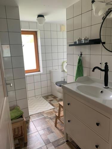 a bathroom with a sink and a toilet at Green place in Žetale
