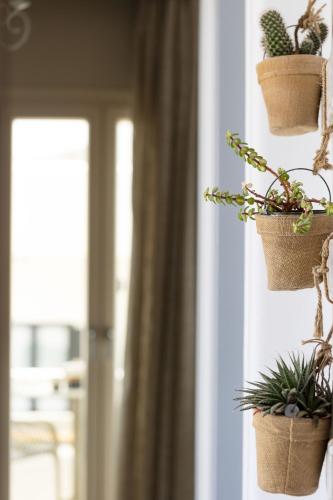 a group of potted plants hanging on a wall at Emery Hotel in Naxos Chora