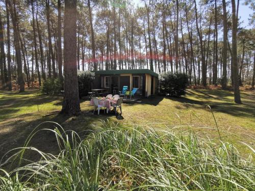 Les Villages sous les Pins, piscines chauffees, Les Arbousiers