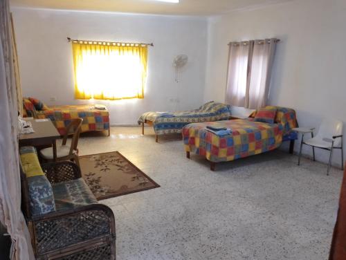 a living room with couches and chairs and a window at B&B at Palestinian home / Beit Sahour in Bethlehem