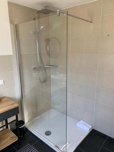 a shower with a glass door in a bathroom at Ferienwohnung I Beck-Bräu nahe Bamberg in Lisberg