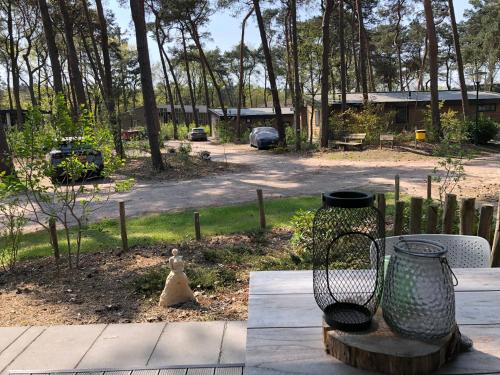 a table with two vases sitting on a patio at Natuurhuisje Pine & Oak 6 persoons in Hardenberg