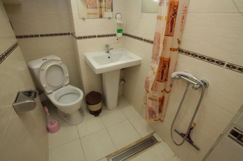 Baño pequeño con aseo y lavamanos en Sukhum City Mini Hotel en Sukhum