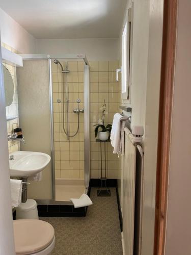 a bathroom with a shower and a toilet and a sink at Hotel Ochsen in Sankt Margrethen