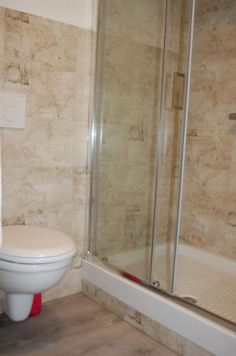 a bathroom with a toilet and a glass shower at LA CIESA DEI SIORI in Alleghe