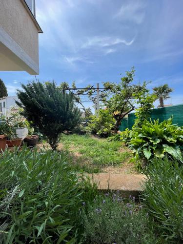 Apartman Mirna