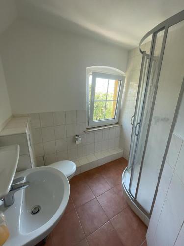 a bathroom with a sink and a shower at Ferienhaus Weißburgunder am Weinberg in Naumburg