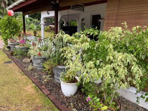 Jardín al aire libre en The Orchard Holiday Home