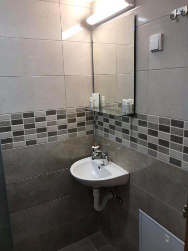 a bathroom with a sink and a mirror at Apartmani & SPA Matin Breg in Jošanička Banja