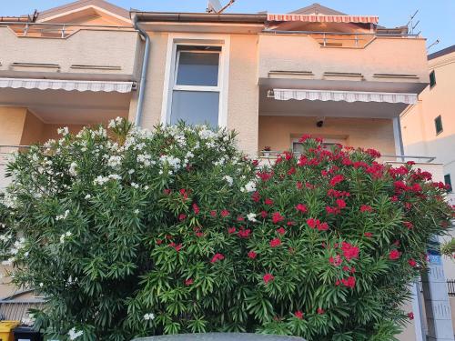 Fotografie z fotogalerie ubytování Apartments Zoretic v destinaci Malinska