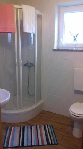 a bathroom with a shower and a toilet and a window at Apartmani Loli in Ugljan