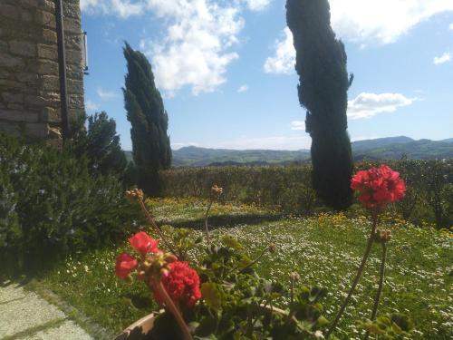 a view of a garden with flowers and trees at Villa Colticciola Agriturismo Marche in Cagli