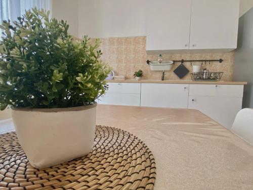 a kitchen with a table with a potted plant on it at Guest House Service - Game Apartment in Modugno