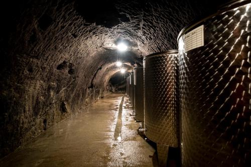 a dark tunnel with a light at night at Vinařství Herůfek in Zaječí