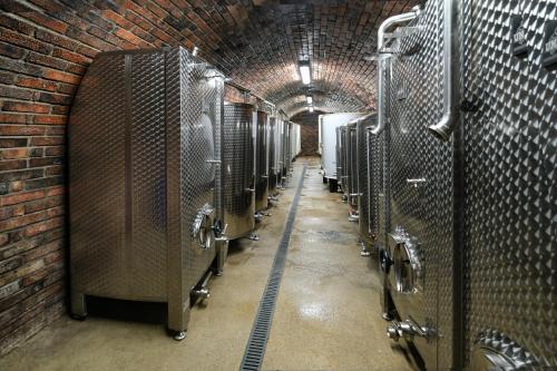 a brick tunnel with a row of stalls at Vinařství Herůfek in Zaječí