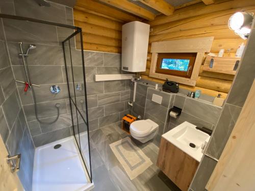 a bathroom with a shower and a toilet and a sink at Alpenchalet Grabner Alm am Präbichl in Almhäuser