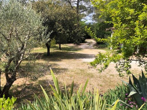 a garden with trees and grass and plants at Domaine Sagittaires in Le Cannet-des-Maures