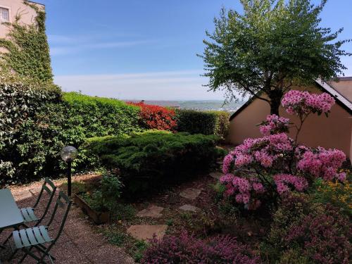 Zahrada ubytování Le DenysPuech 55m2 plein centre avec jardin!