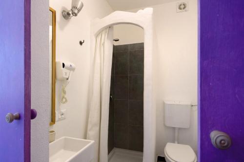 a bathroom with a white toilet and a shower at Monolocale Fattorialmare Viola in Camogli