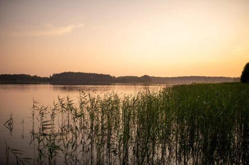 a body of water with grass in front of it at Niezwykła Cisza Glamping & Sauna in Zelwa