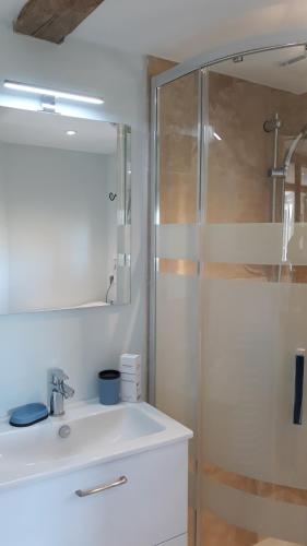 y baño con lavabo y ducha. en Gite A la petite Bretonnière en Saint-Pierre-des-ifs