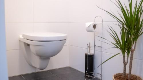 a white toilet in a bathroom with a plant at Shoreline Apartment Katwijk in Katwijk aan Zee