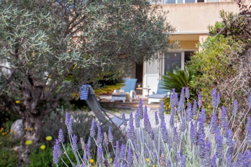 un jardin avec des fleurs violettes devant une maison dans l'établissement Appartement Casa Linda avec jardin 900m de la plage et du centre ville, à Calvi